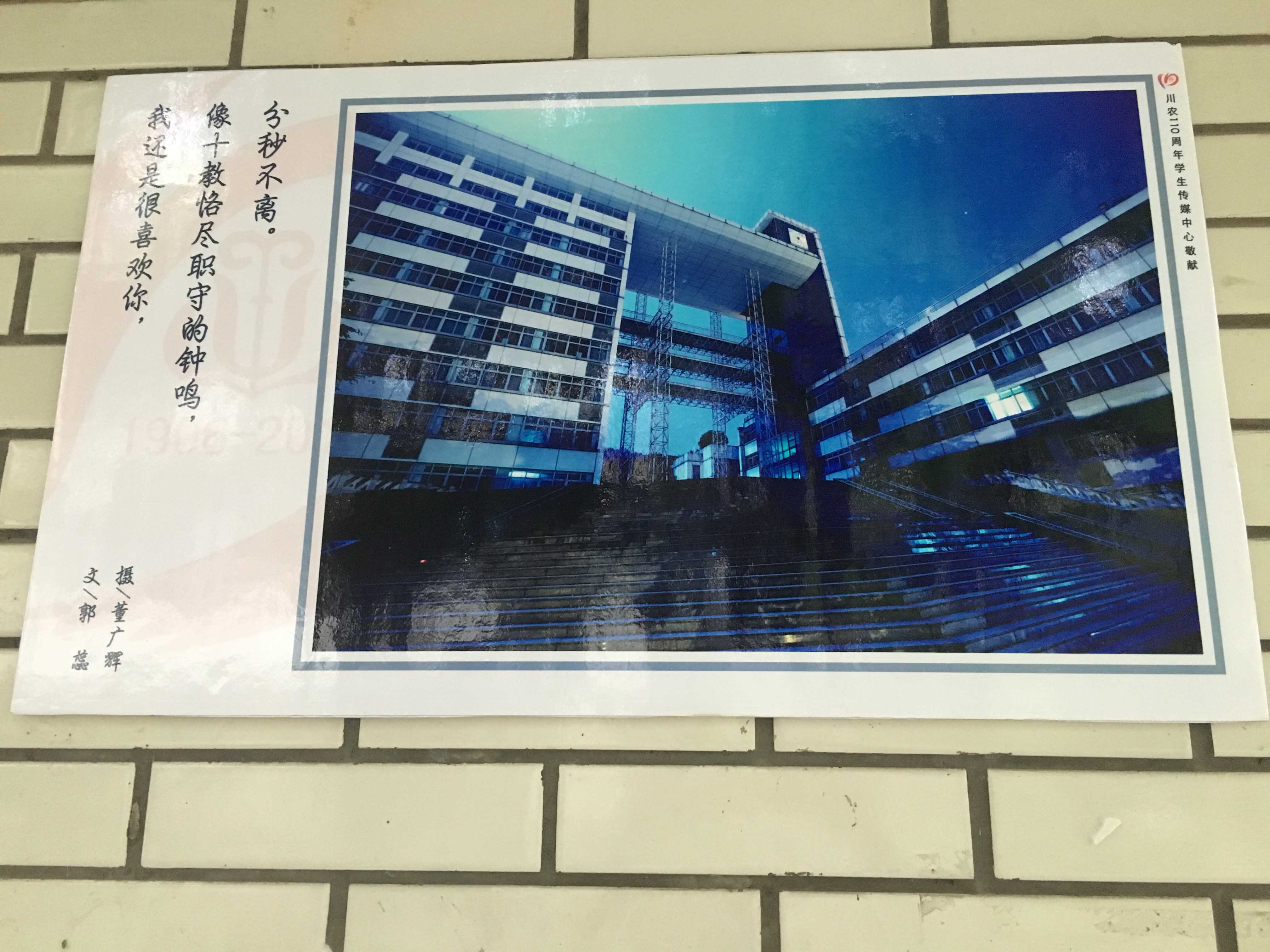 zoty中欧体育APP下载图片