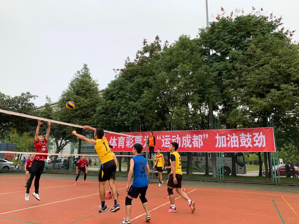 zoty中欧体育指定通道