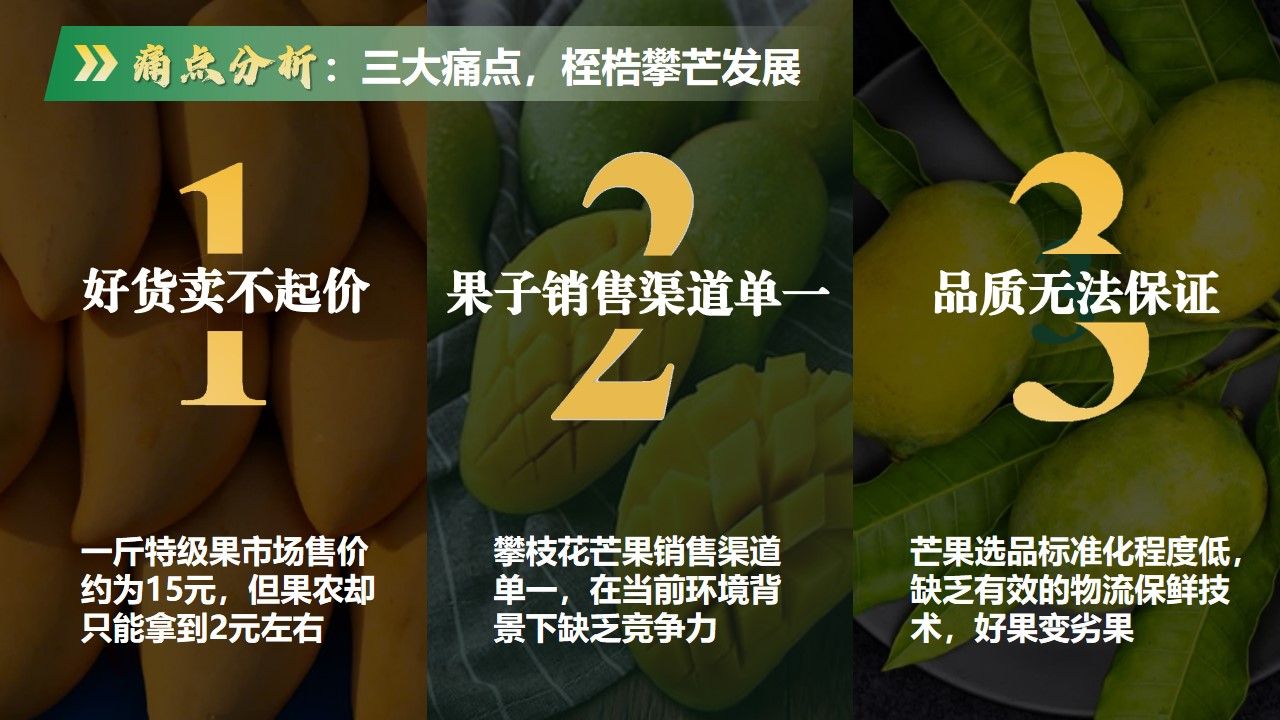 zoty中欧体育APP下载