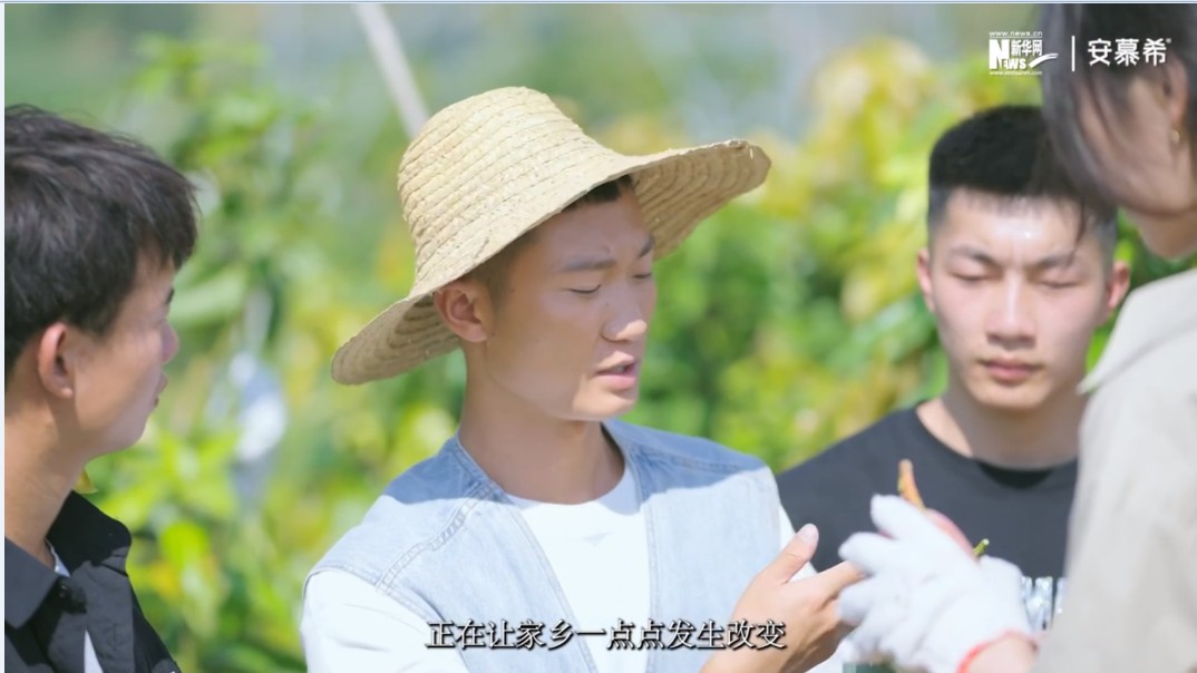 zoty中欧体育稳定线路