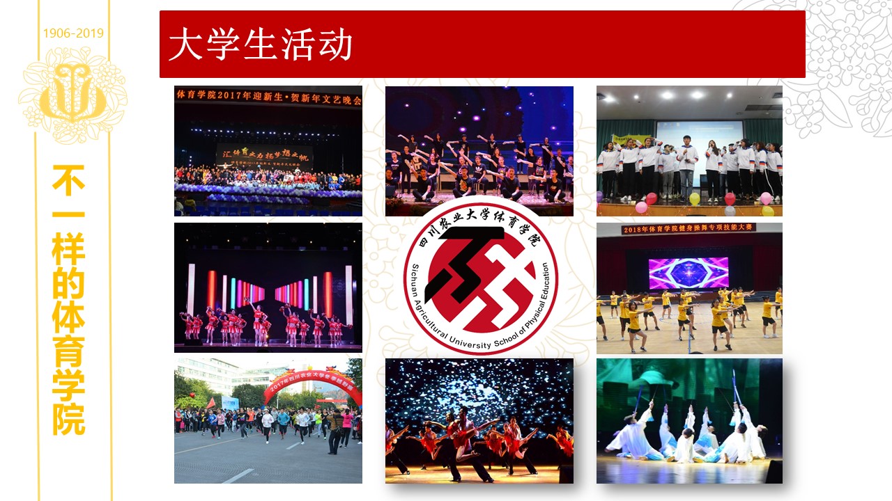 zoty中欧体育直播