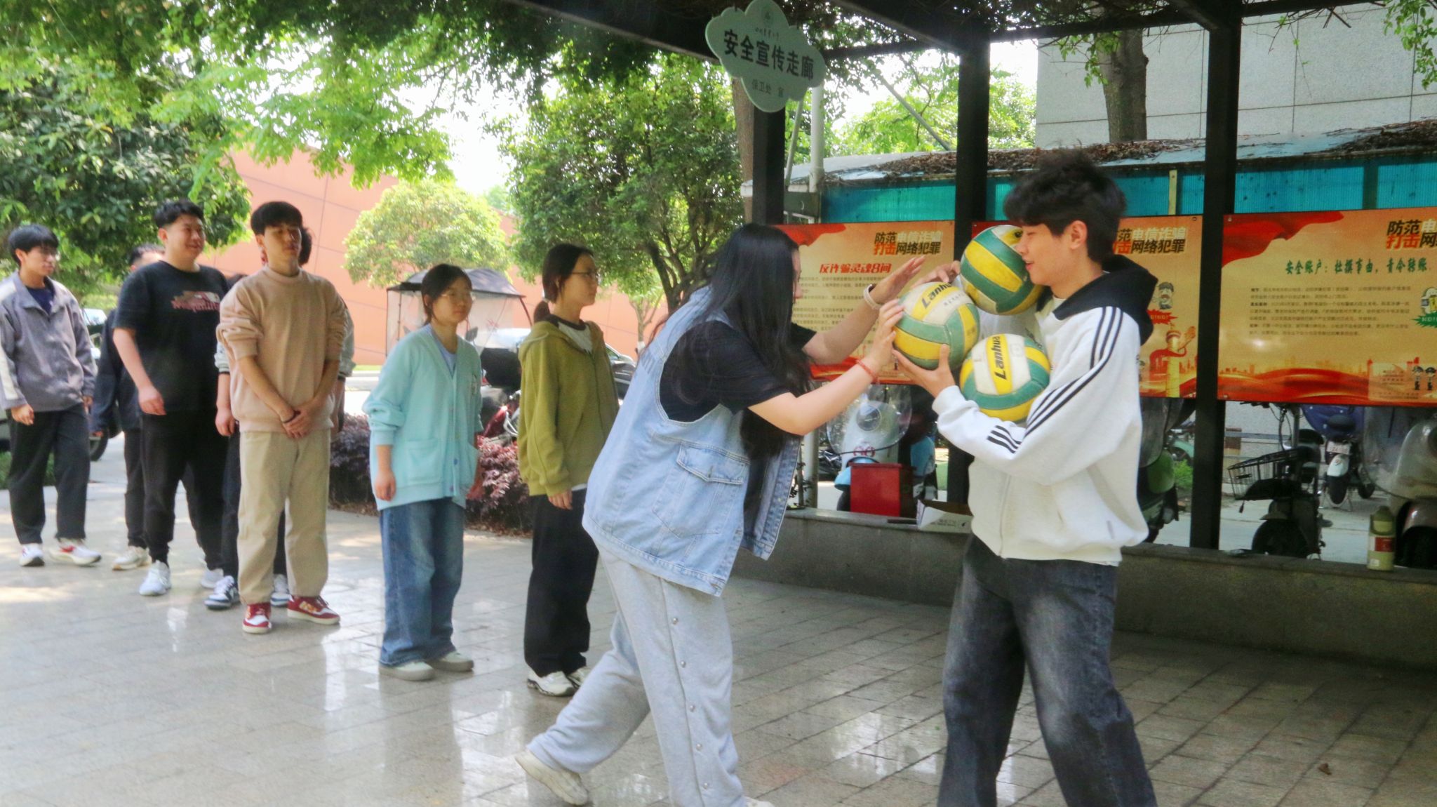 zoty中欧体育平台