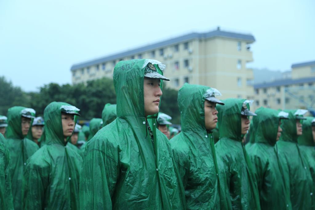 zoty中欧体育互联系统