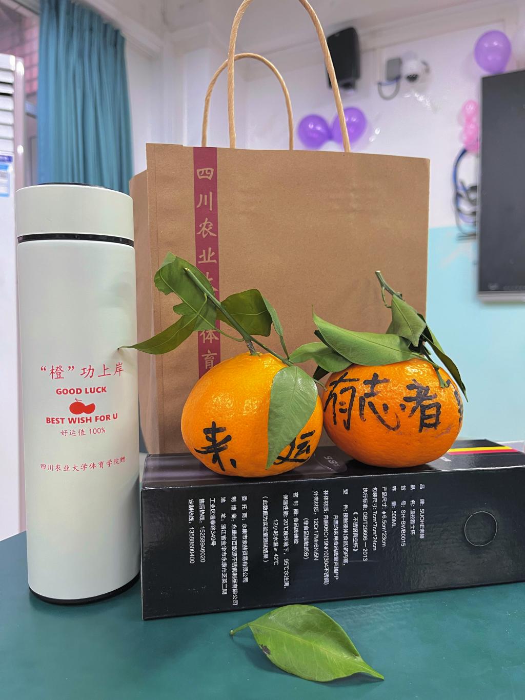 zoty中欧体育指定入口