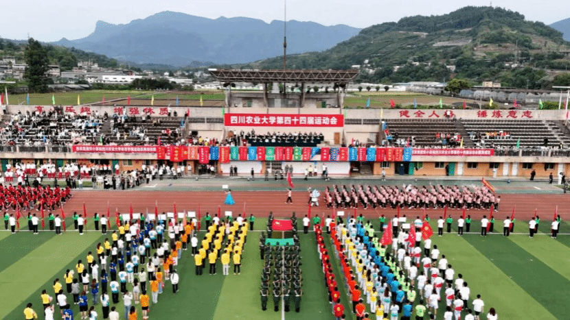 zoty中欧体育官方指定端