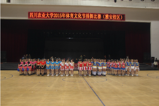 zoty中欧体育欧冠直播图片