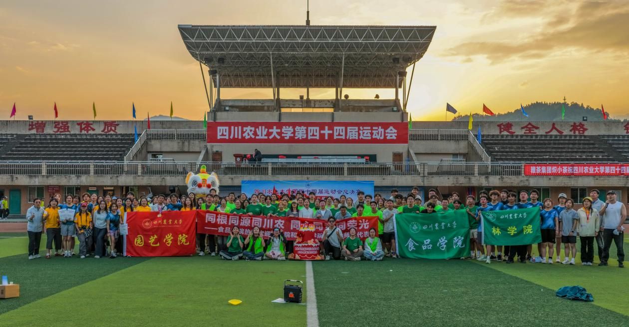 zoty中欧体育超级联赛