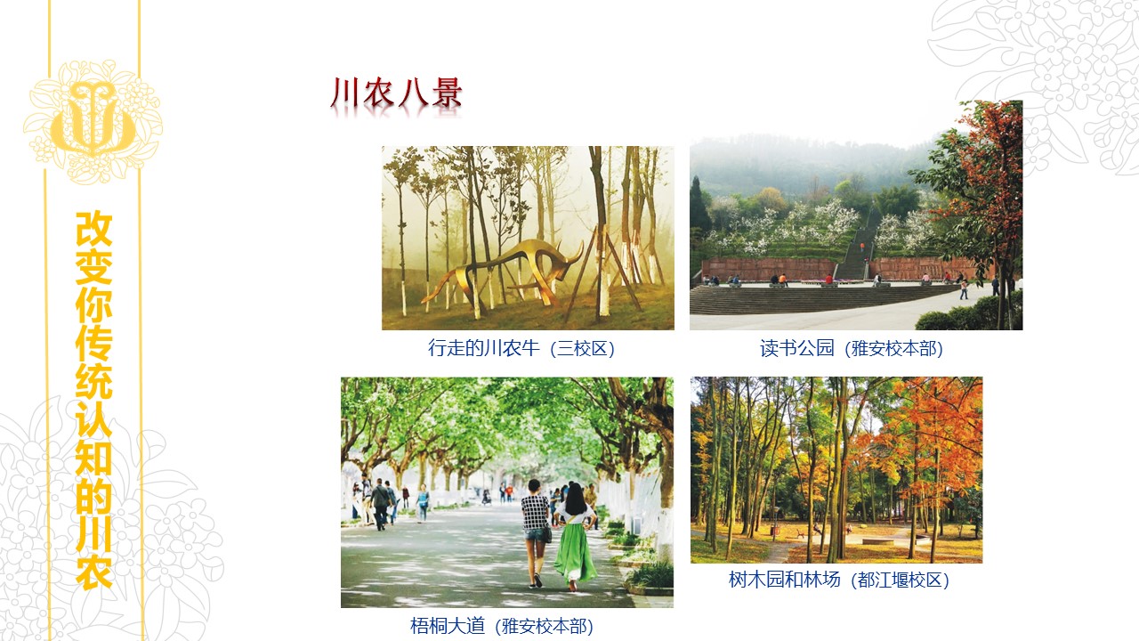 zoty中欧体育指定入口