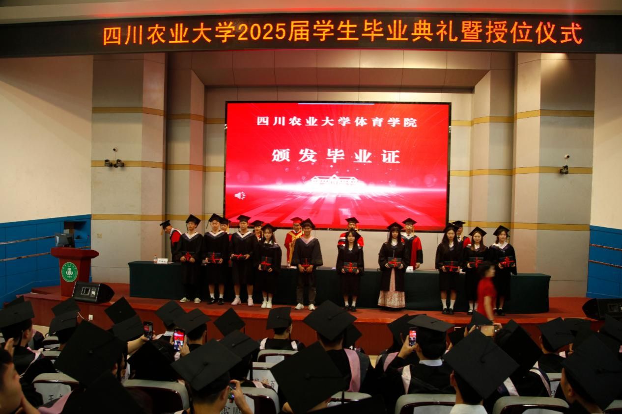 zoty中欧体育超级联赛