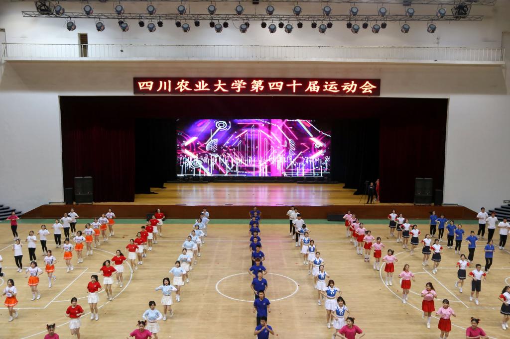 zoty中欧体育稳定线路