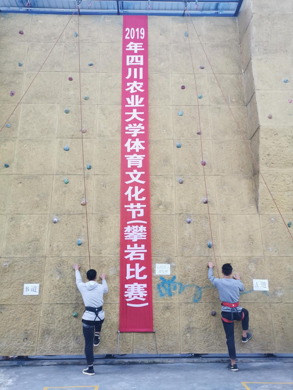 zoty中欧体育指定通道
