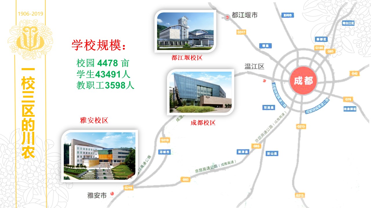 zoty中欧体育欧洲杯