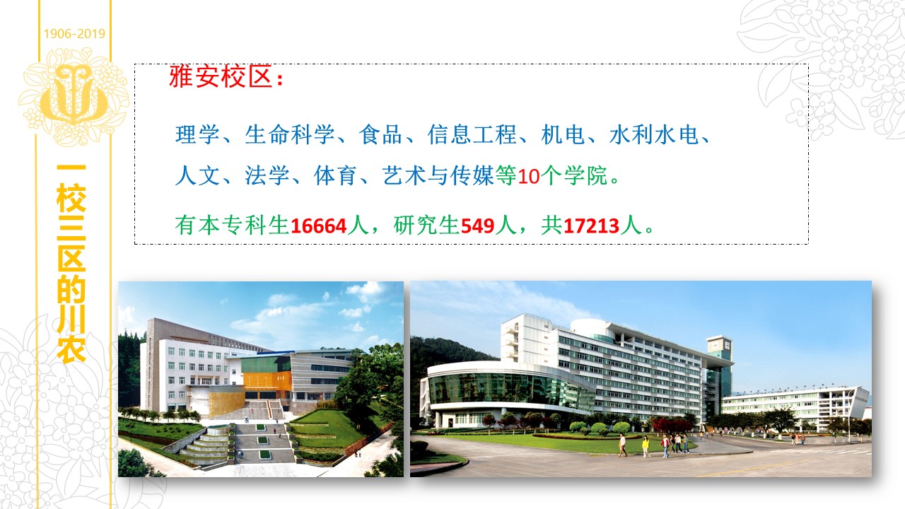 zoty中欧体育欧洲杯