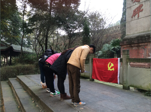 zoty中欧体育欧洲杯图片