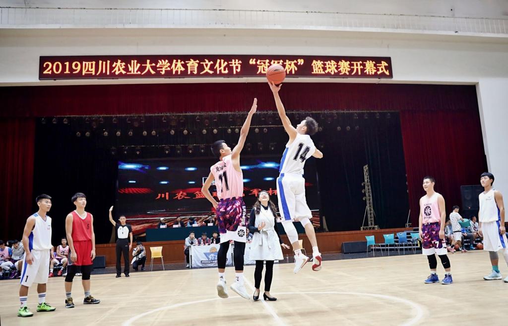 zoty中欧体育加速节点