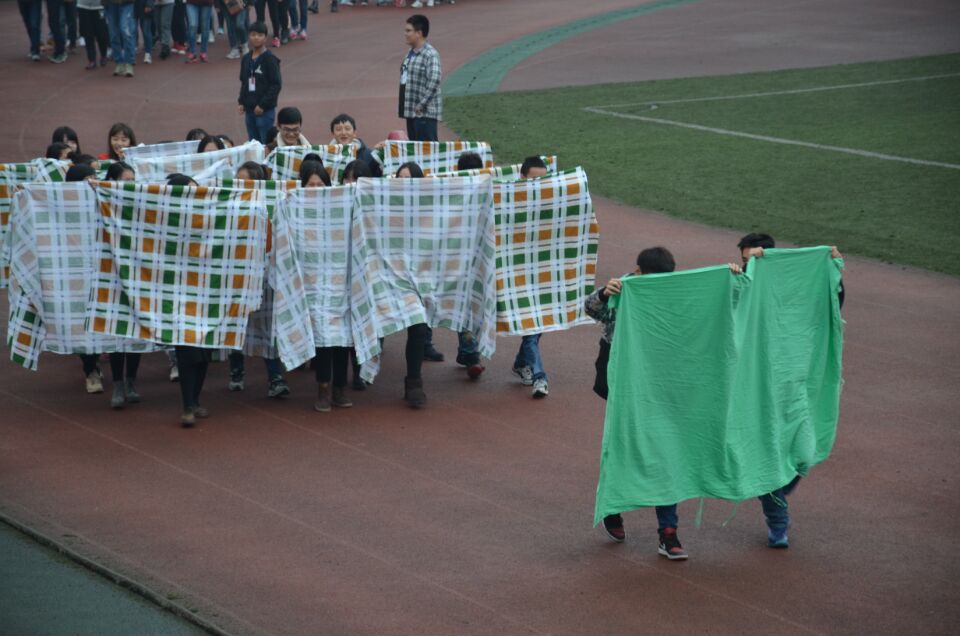 zoty中欧体育欧冠直播图片