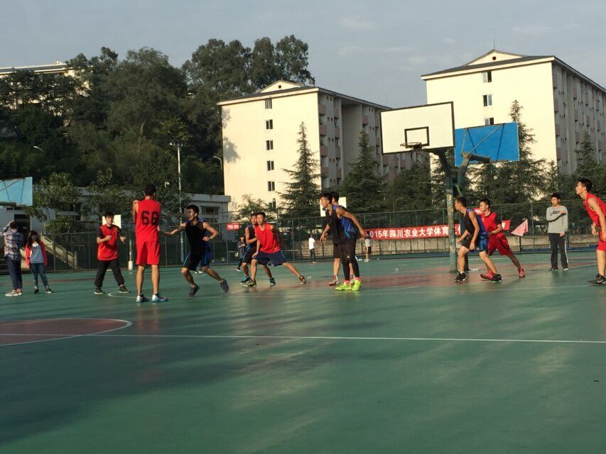 zoty中欧体育稳定线路图片
