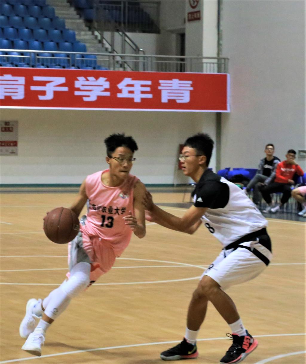 zoty中欧体育备用网址