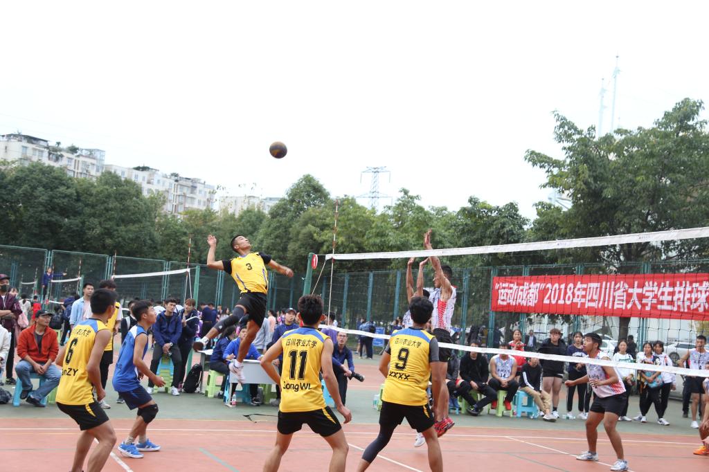 zoty中欧体育超级联赛