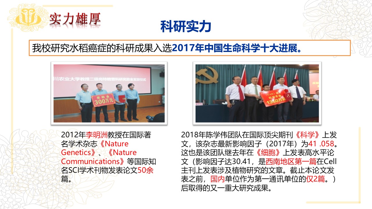 zoty中欧体育平台