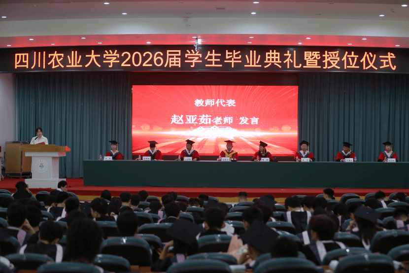 zoty中欧体育数据中心图片