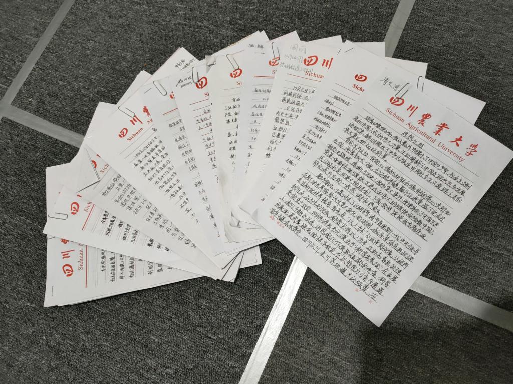 zoty中欧体育备用网址
