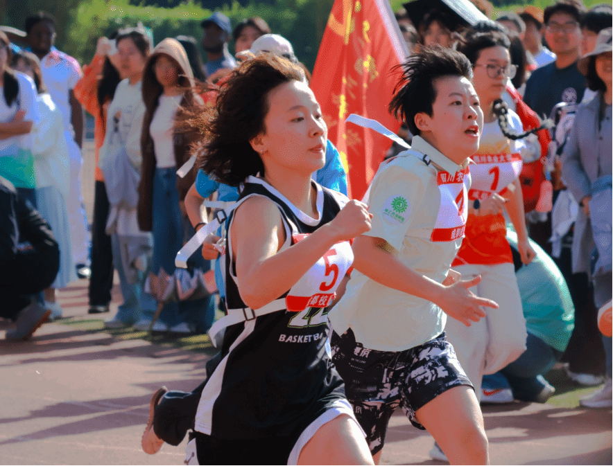 zoty中欧体育指定通道