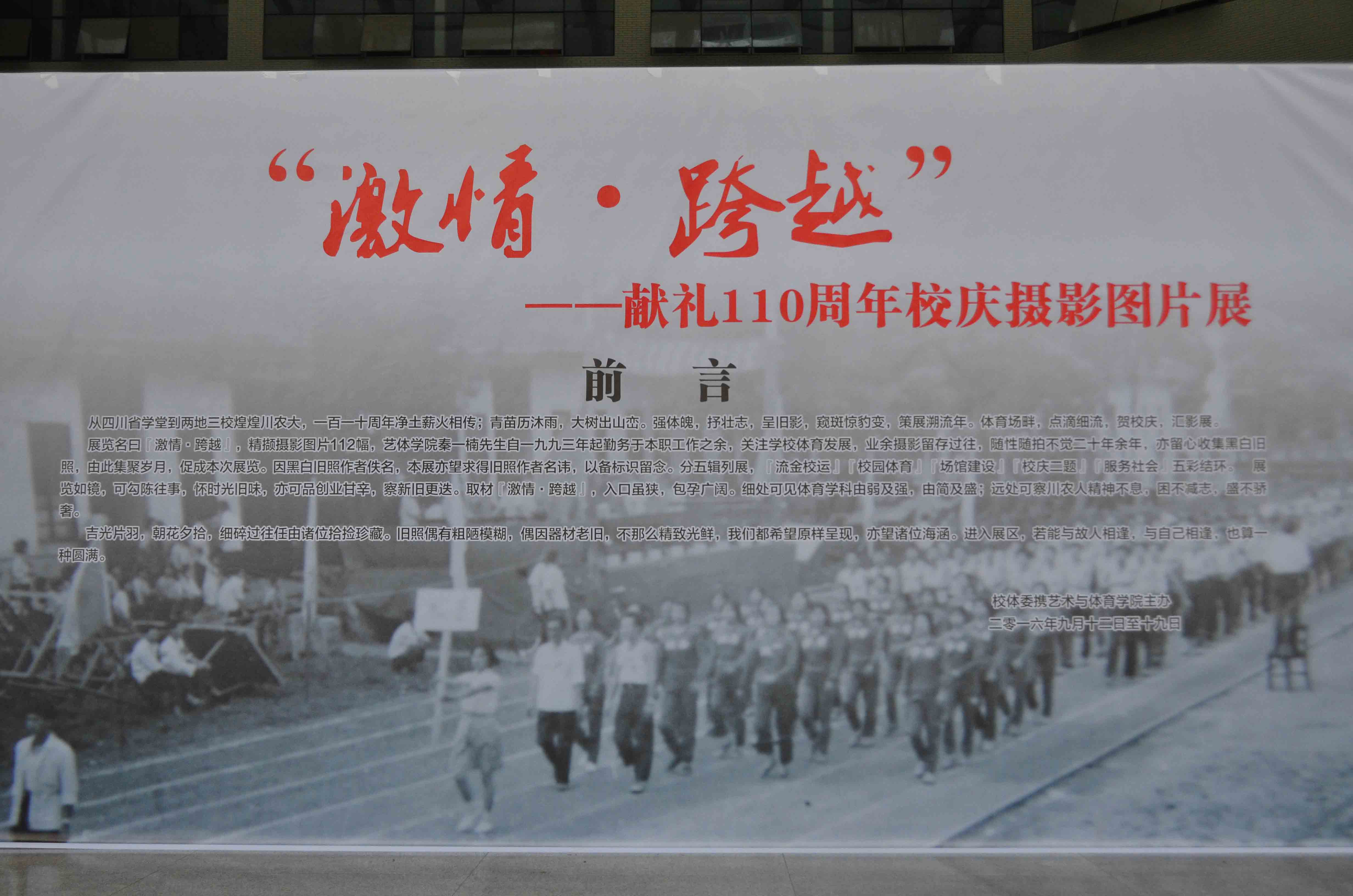 zoty中欧体育体育频道图片