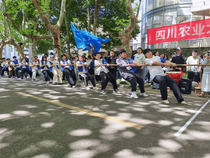 zoty中欧体育欧洲杯