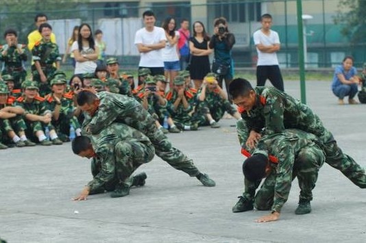 zoty中欧体育欧冠直播图片